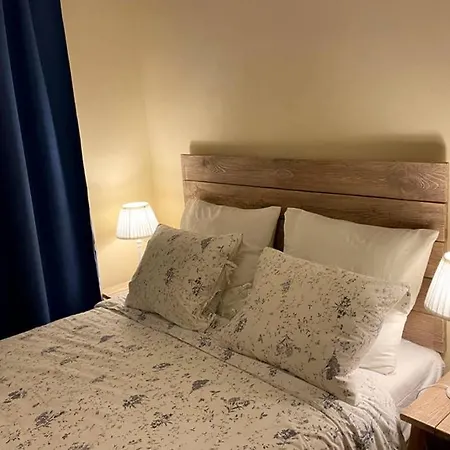 Bootsman Gelijkvloers Met Tuin En Autostaanplaats Lejlighed *